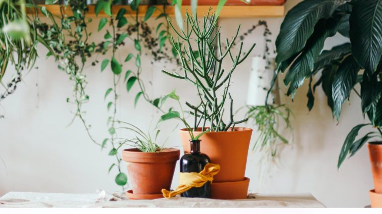 Quick tips for Green Living