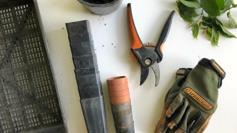 How to add value to your home with landscaping
