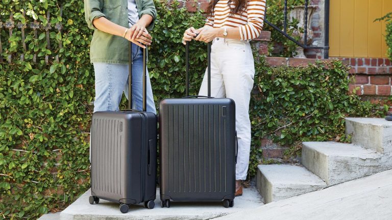 DIY vs professional removalists – pros and cons