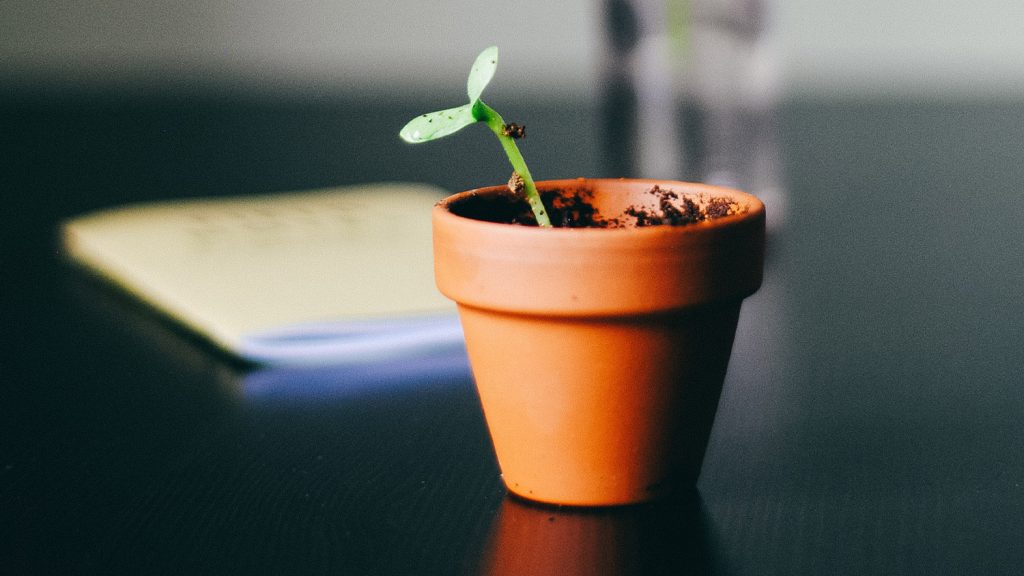How to identify areas with a high growth potential
