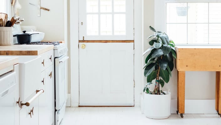 infolio-content-image