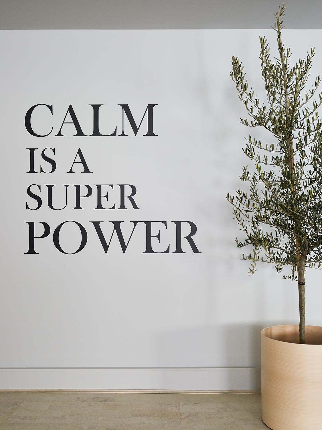 calm is a super power inspirational picture