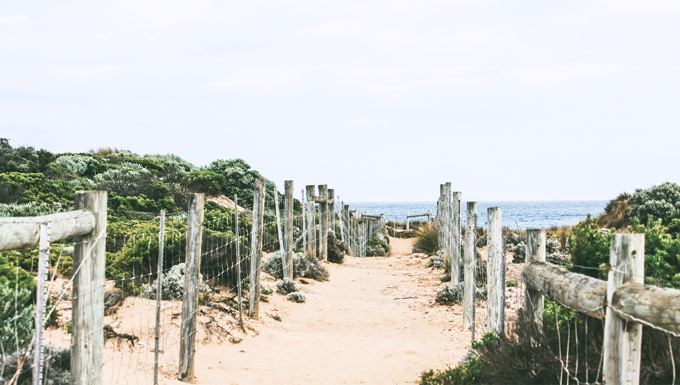 infolio-content-image