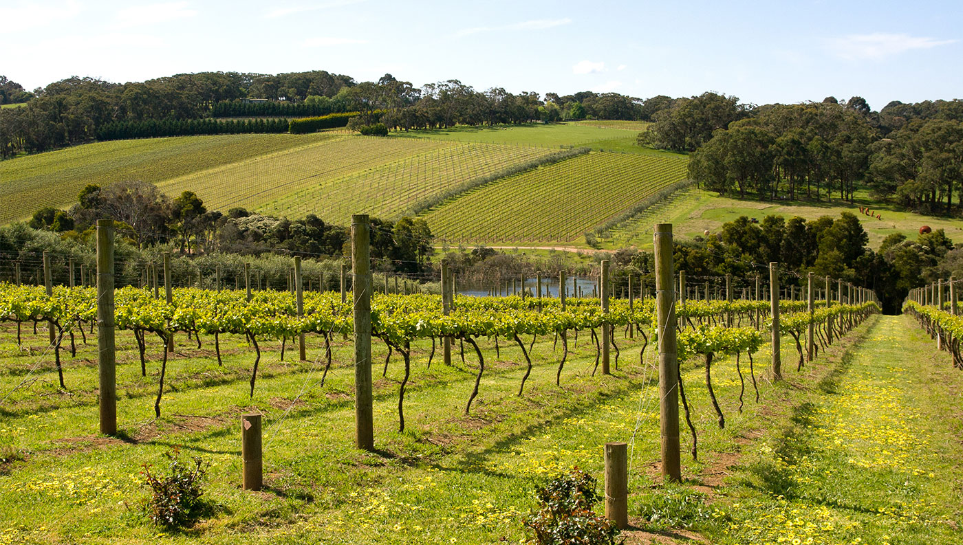 infolio-content-image