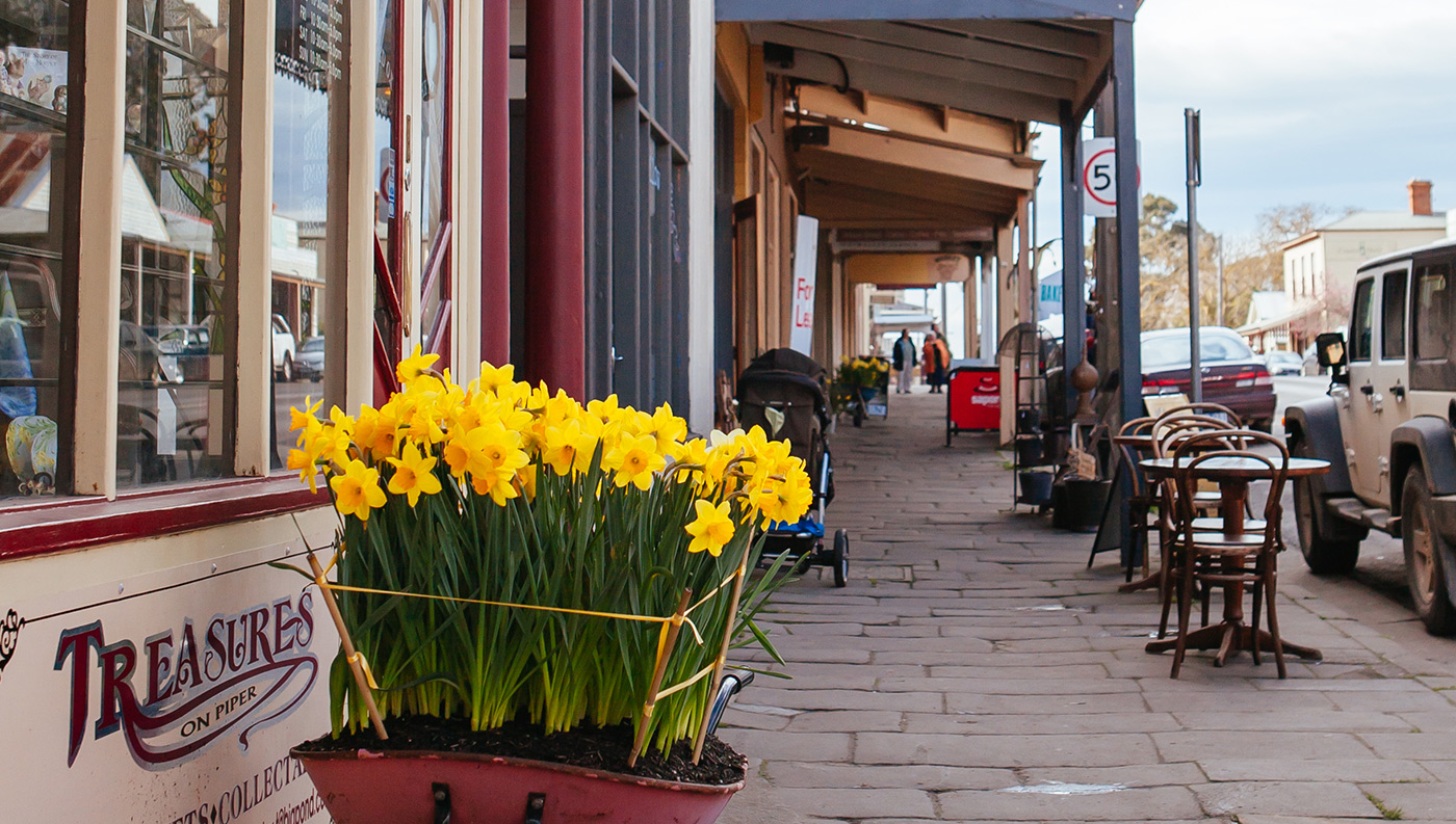 infolio-content-image