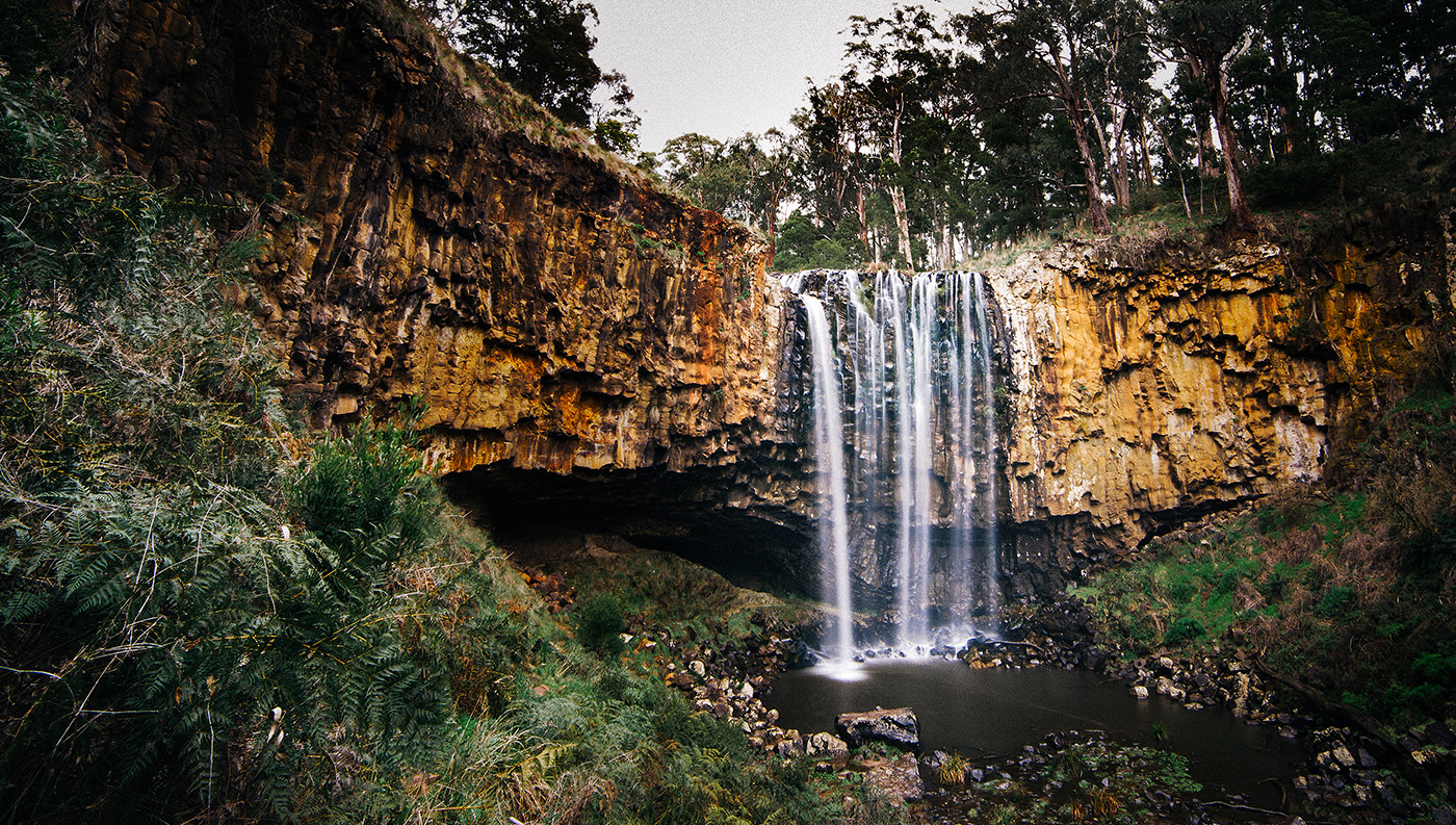 infolio-content-image