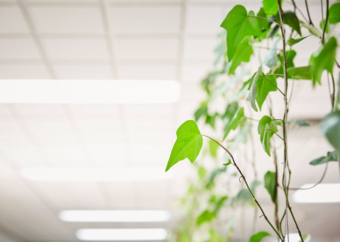 infolio-content-image