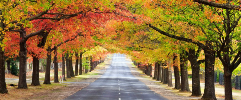 Are there still strong investment opportunities in Central Victoria?