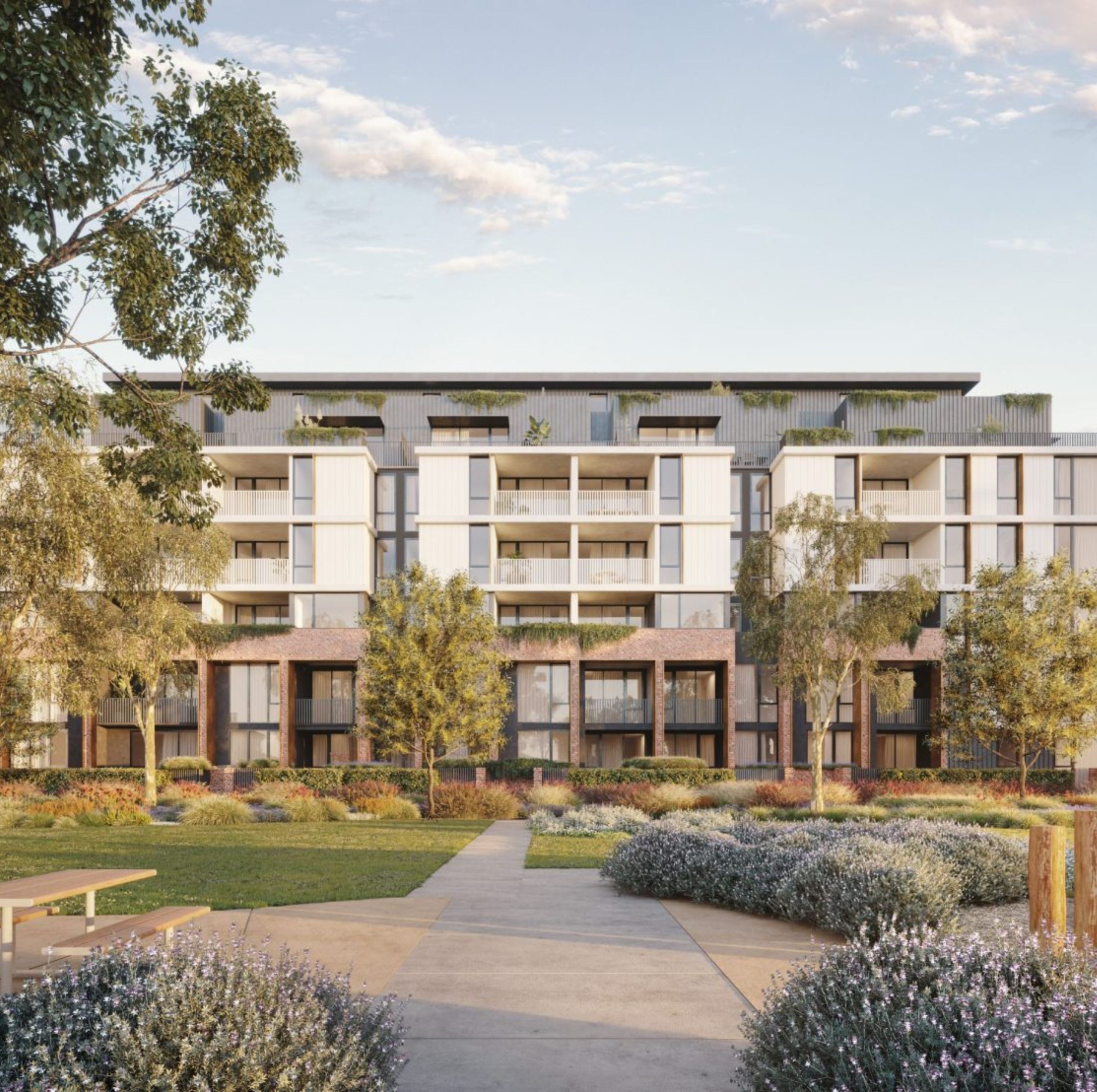 infolio-content-image